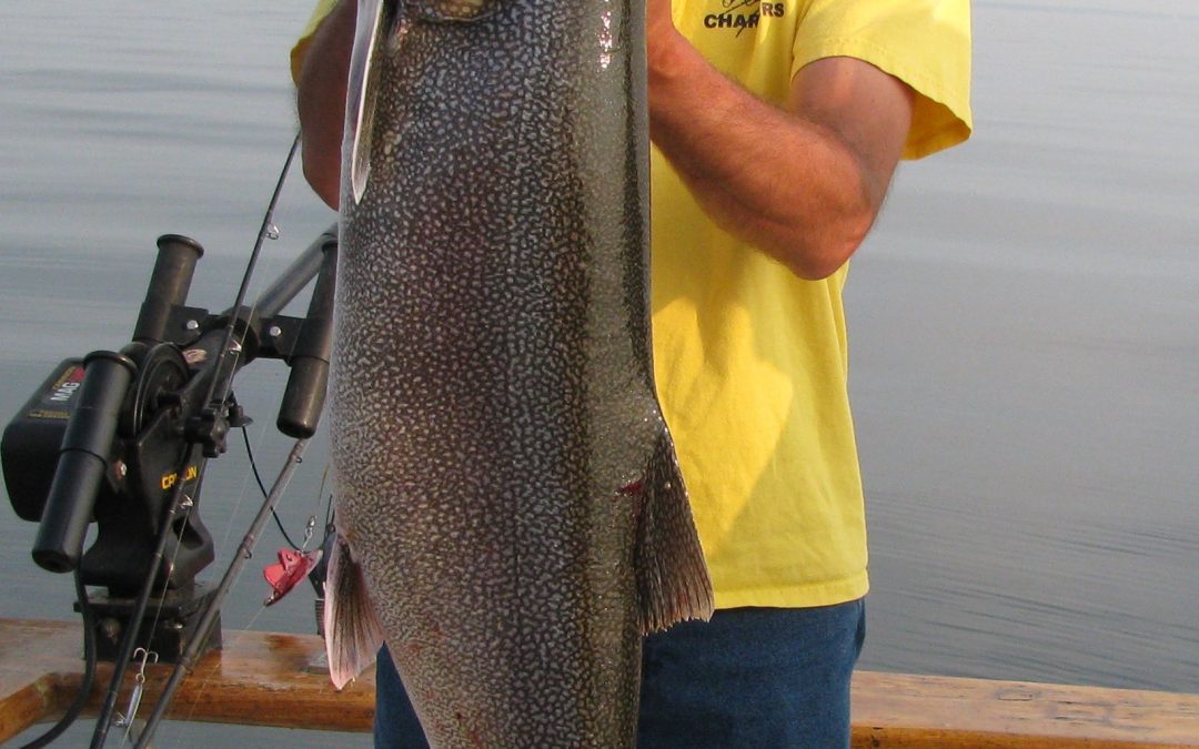New Lake Trout Limits for 2017