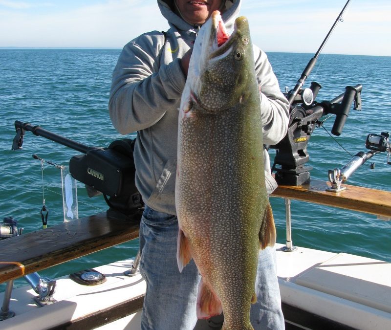 28 Pound Lake Trout