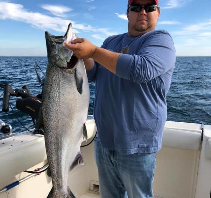 A 29lb King Salmon