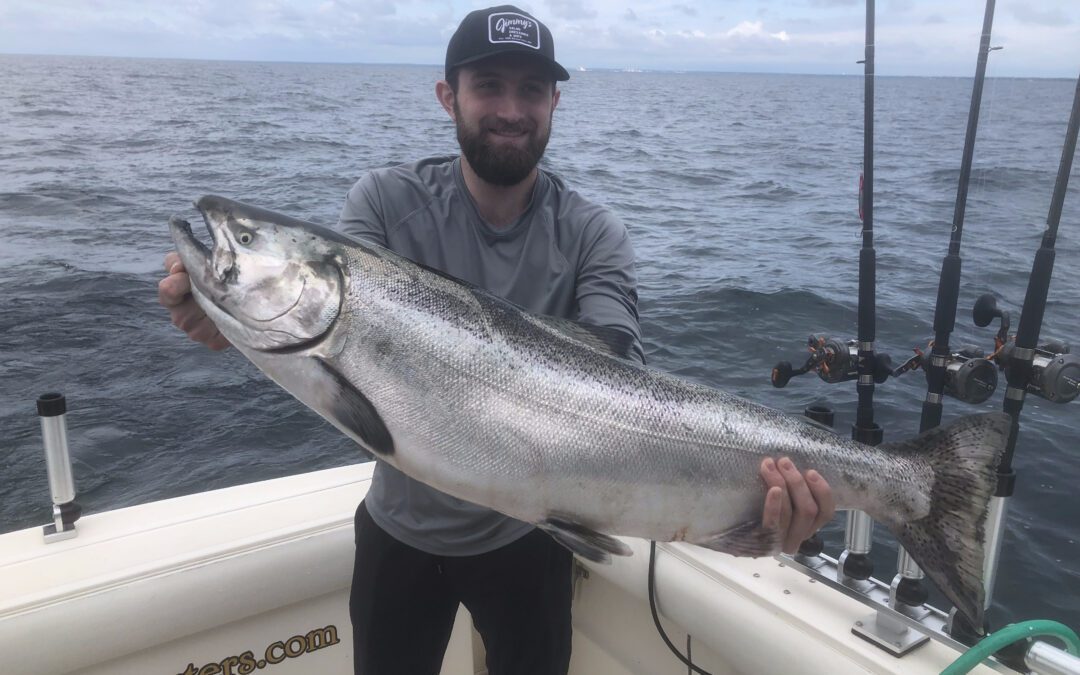 The 25lb Chase