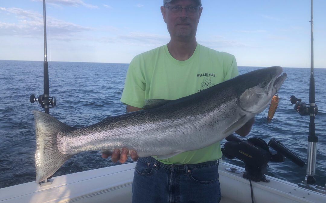 A Big Rainbow Trout
